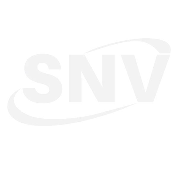 SNV Stamping Solutions logo